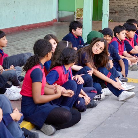 sello integración