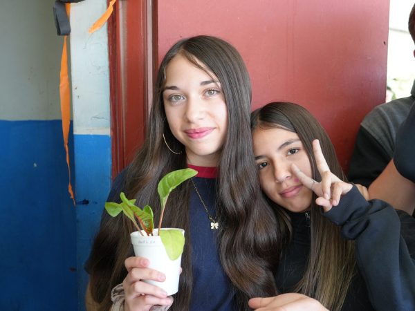 Estudiantes en el patio de la escuela